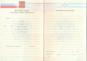 Аттестат за 9 класс 2007-2010 в Саратове
